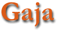 Gaja (Bovaro del Bernese)